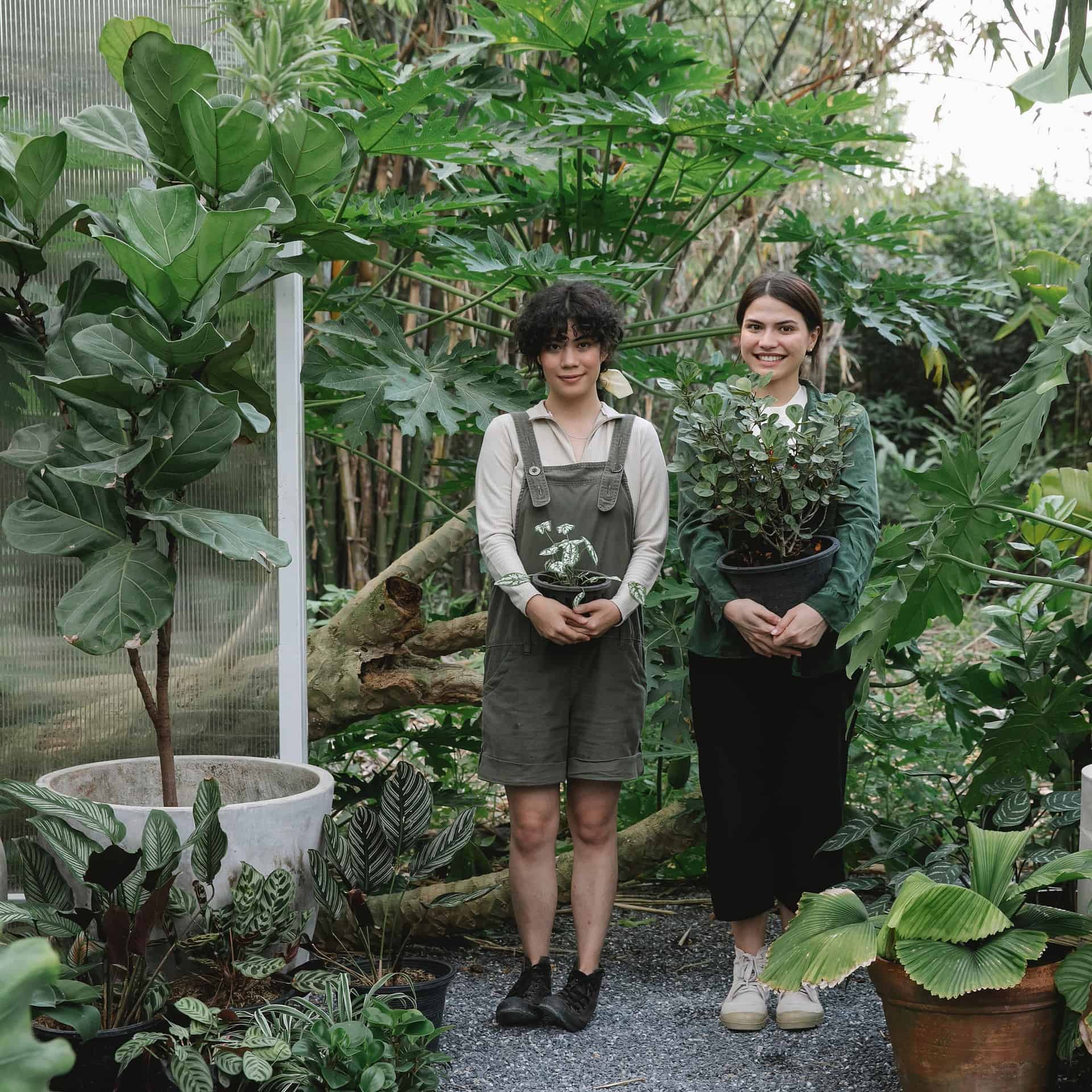 two millenial girls holding plants sorrounded by houseplants