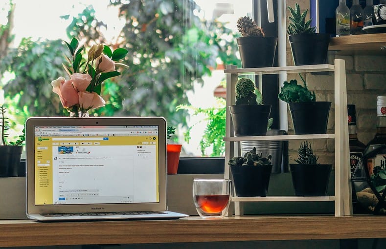 plant shelf near a window