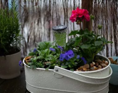 spring containers with flowering plants