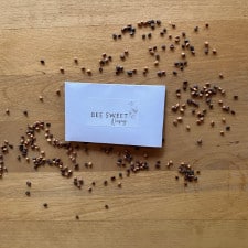 Radish MicroGreen Seeds | Radish Confetti Mix