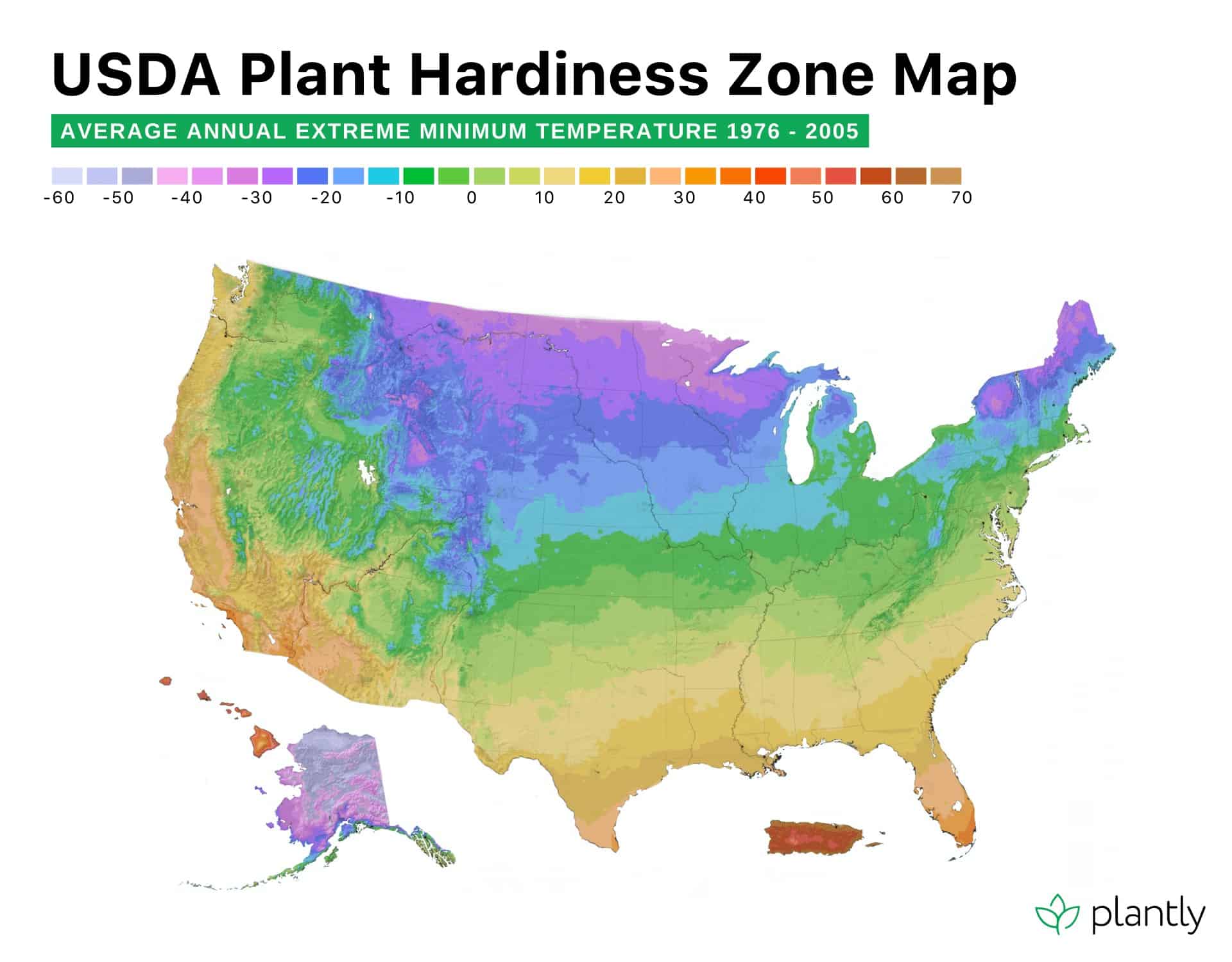 aglaonema pictum tricolor USDA growth map