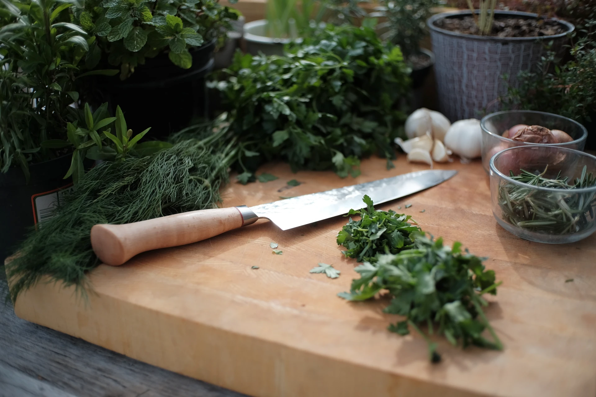 herbs as best kitchen plant
