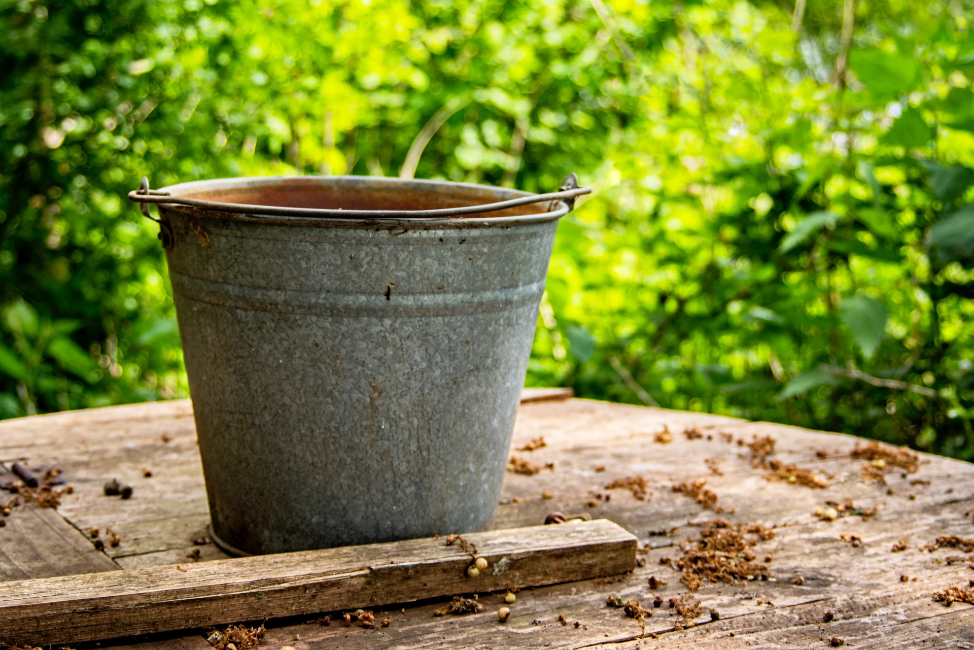a rainwater bucket 