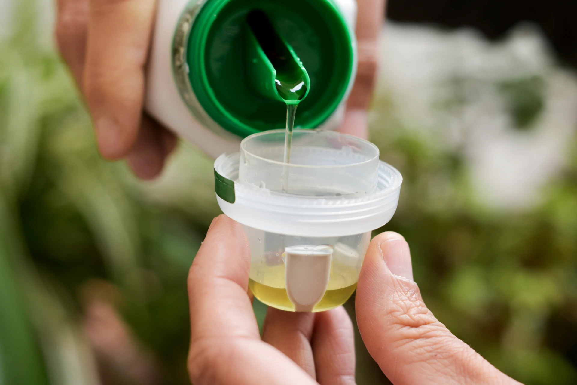 liquid fertilizer for spilled wine weigela