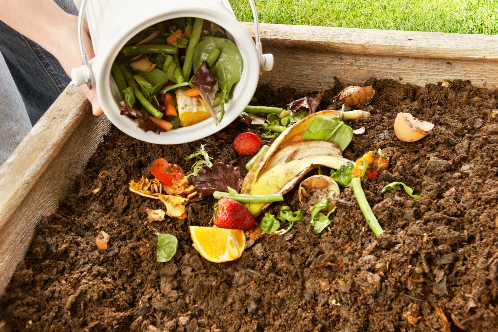 organic compost soil for mexican bush sage