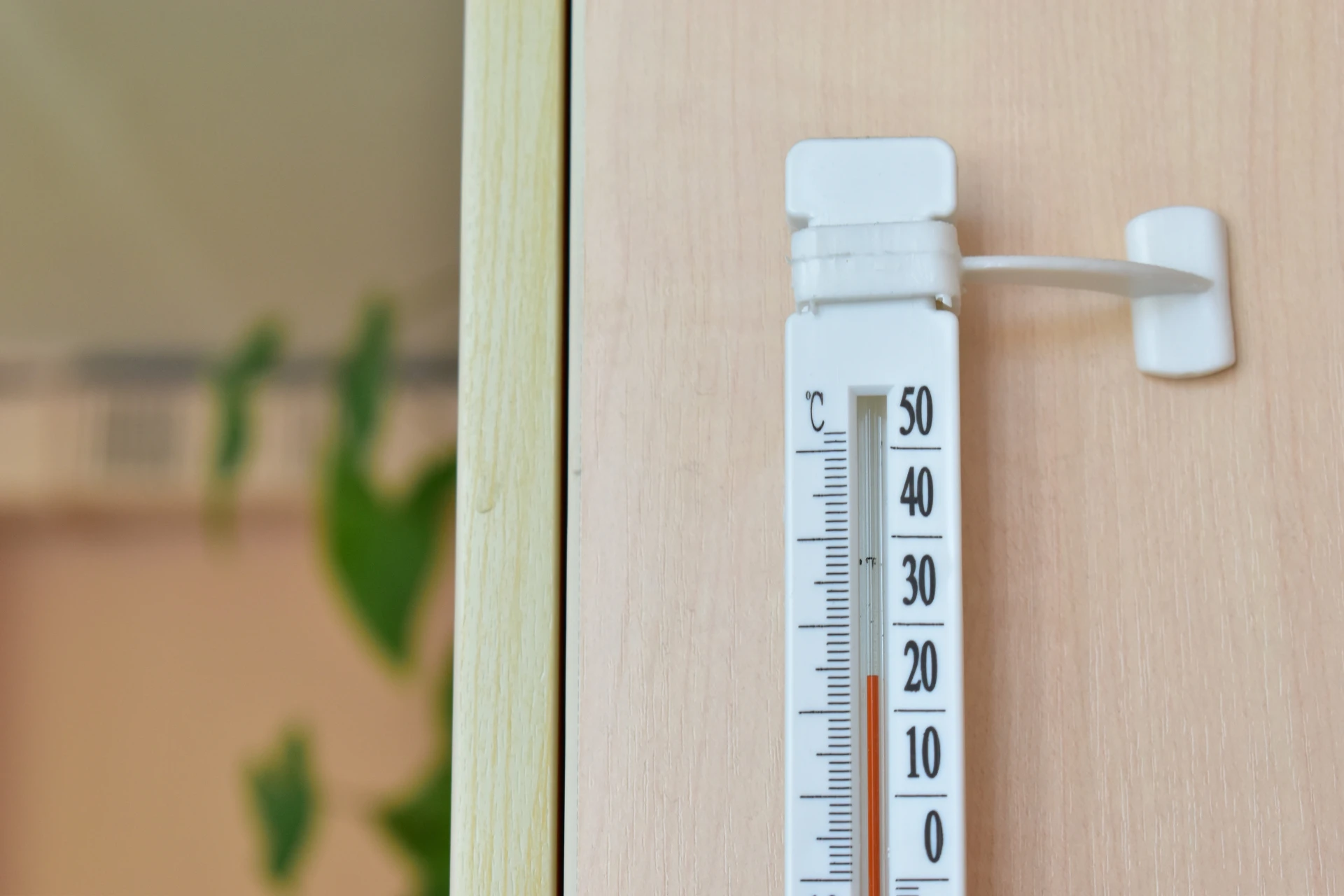 temperature and humidity of dwarf burning bush