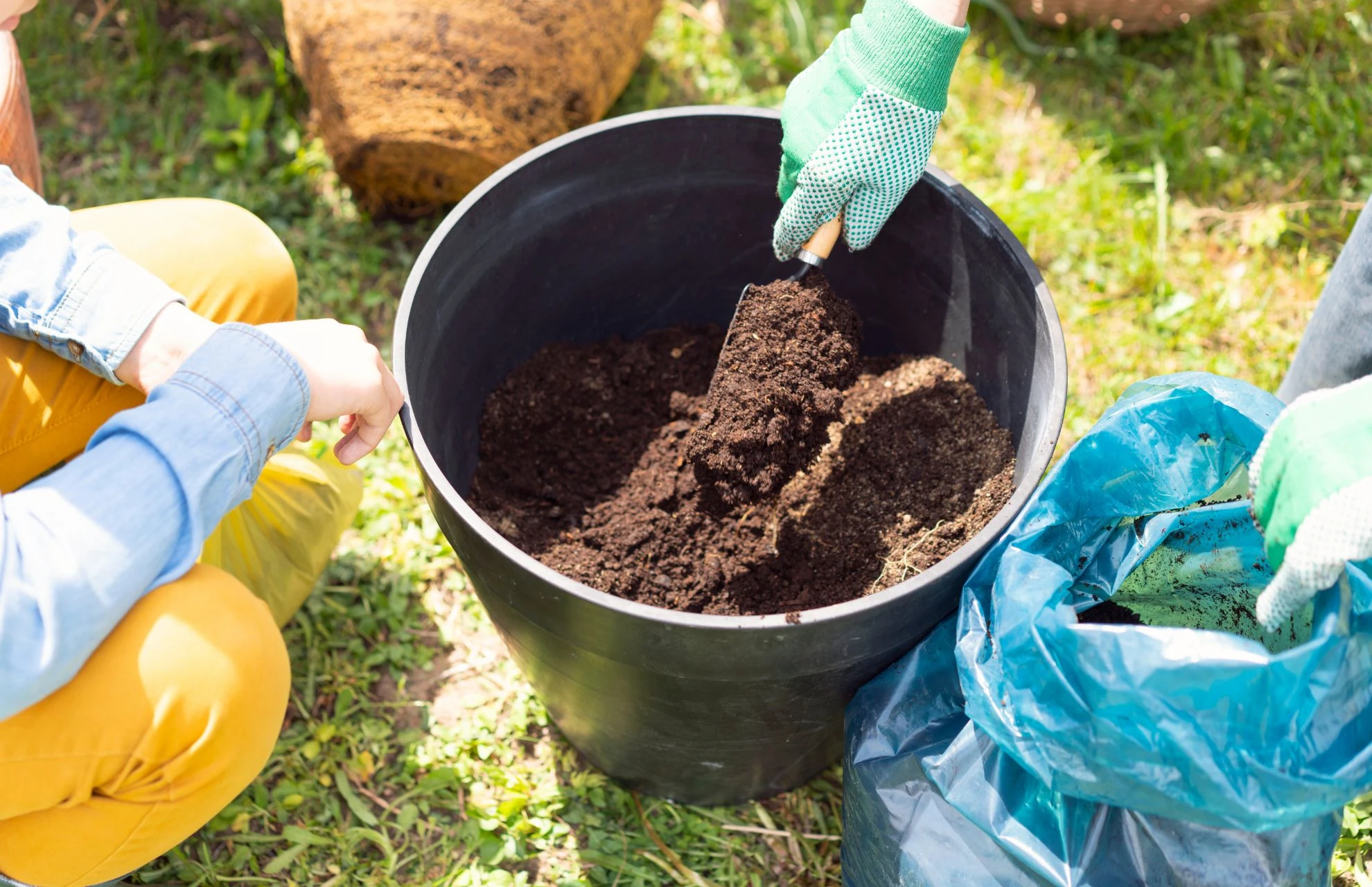 well-draining soil for spilled wine weigela