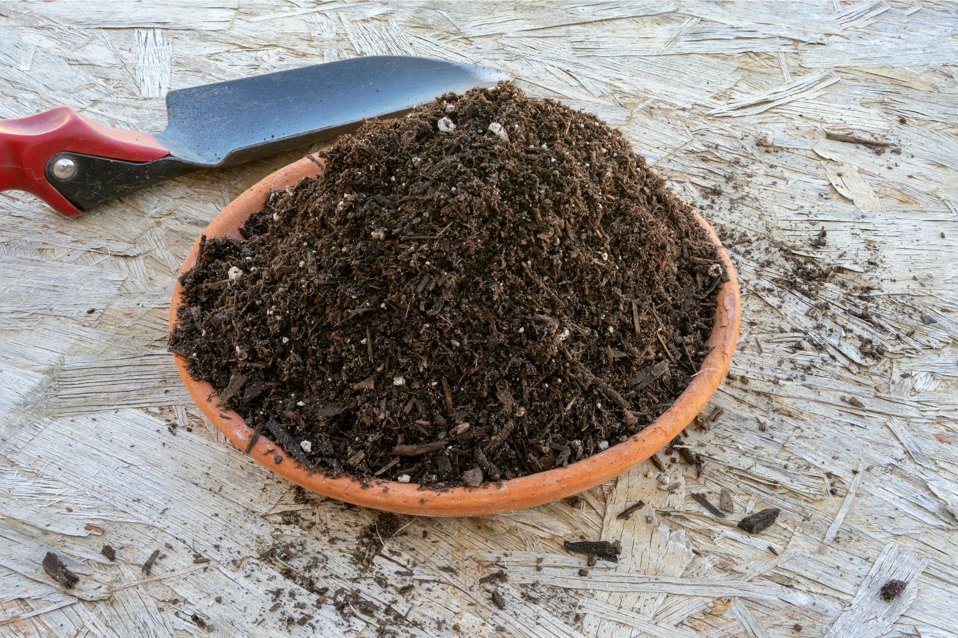 well-drained soil for may night salvia 