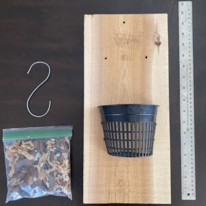 Outdoor Orchid mount kit on a Cedar board with a 5 inch mesh pot! FREE SHIPPING - FOR NOW!