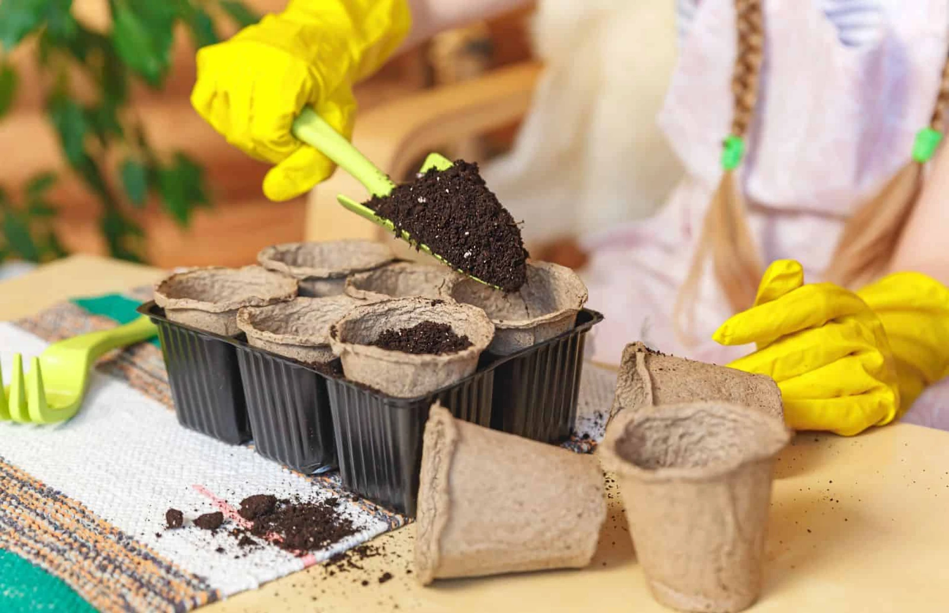 How to Grow and Care for Anaheim Pepper Plant | Plantly