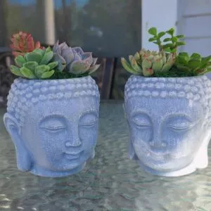 Buddha Head Planter with live succulent
