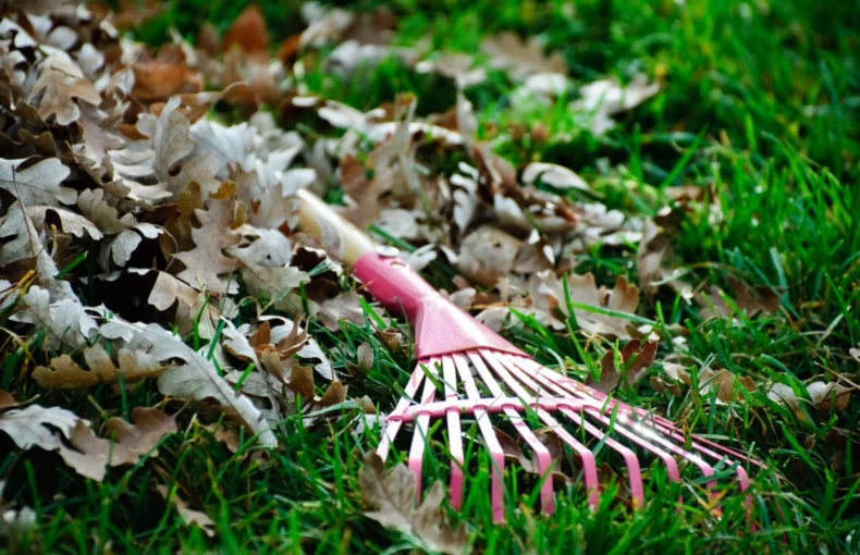 tool for fall garden clean-Up tips