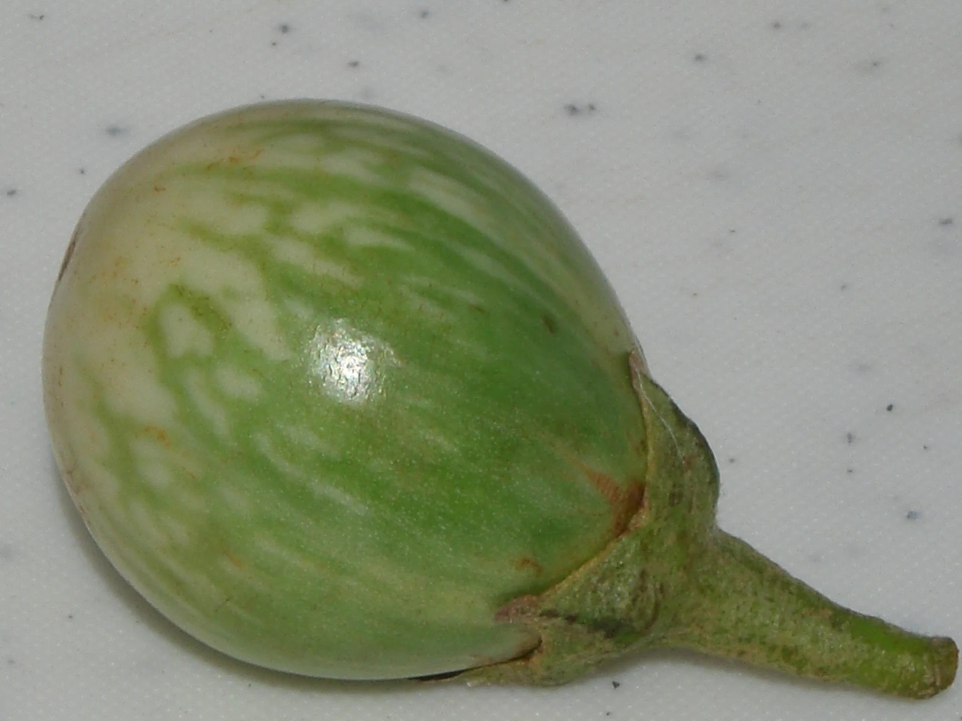 thai eggplant for top asian greens and vegetables
