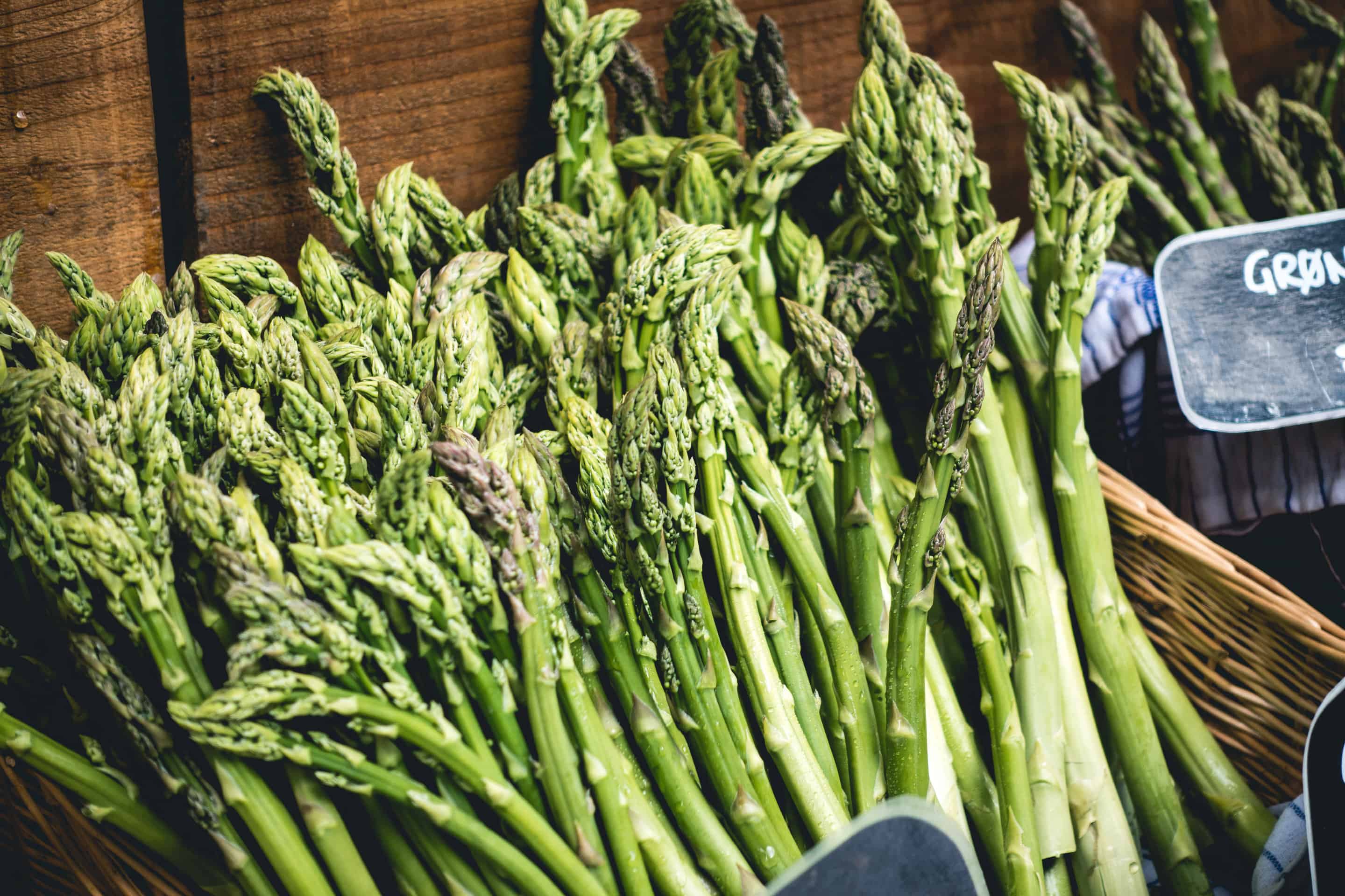 harvesting asparagus