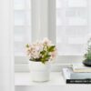 Modern White Plant Pot | Plant Decor