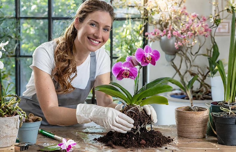 how to repot orchids