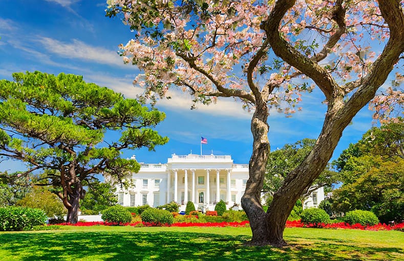 presidential trees in the whitehouse