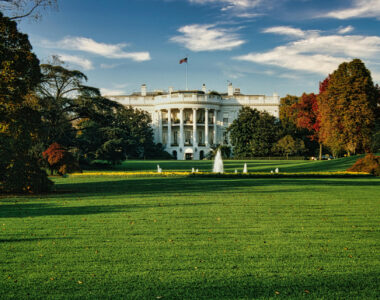 white house lawn
